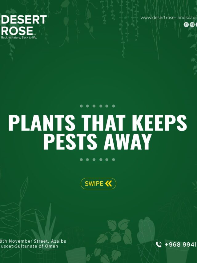 Plants used for pest control