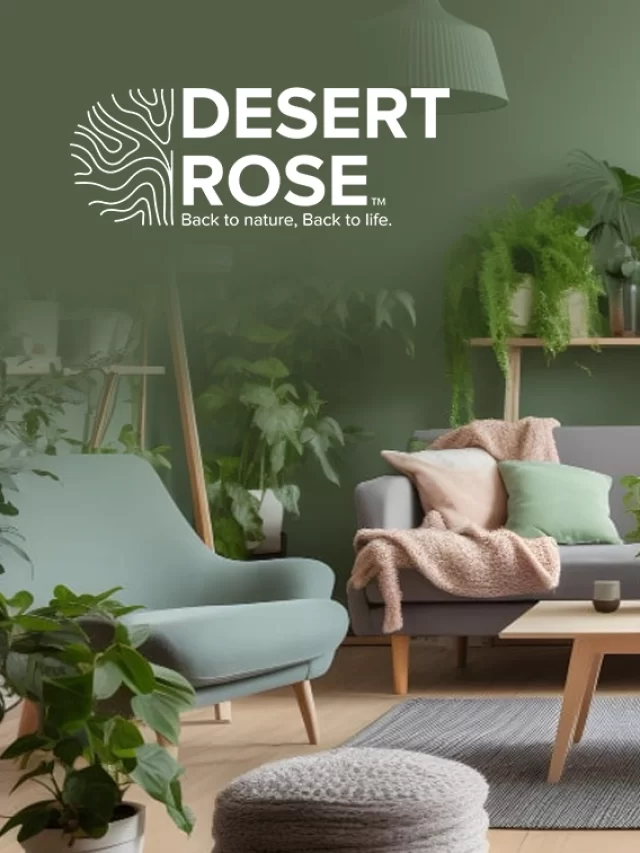 Top 10 Indoor Plants for Your Home